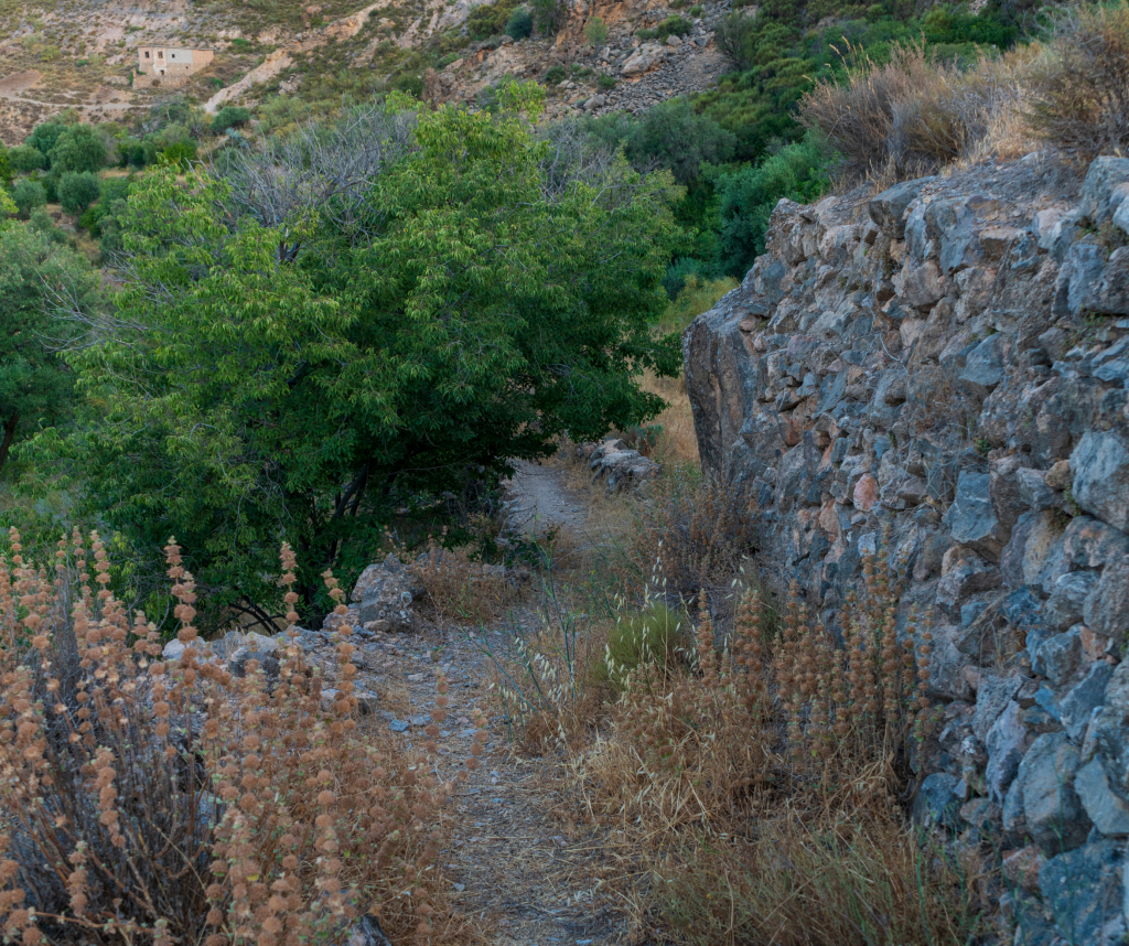Servidumbre de Paso, todo lo que