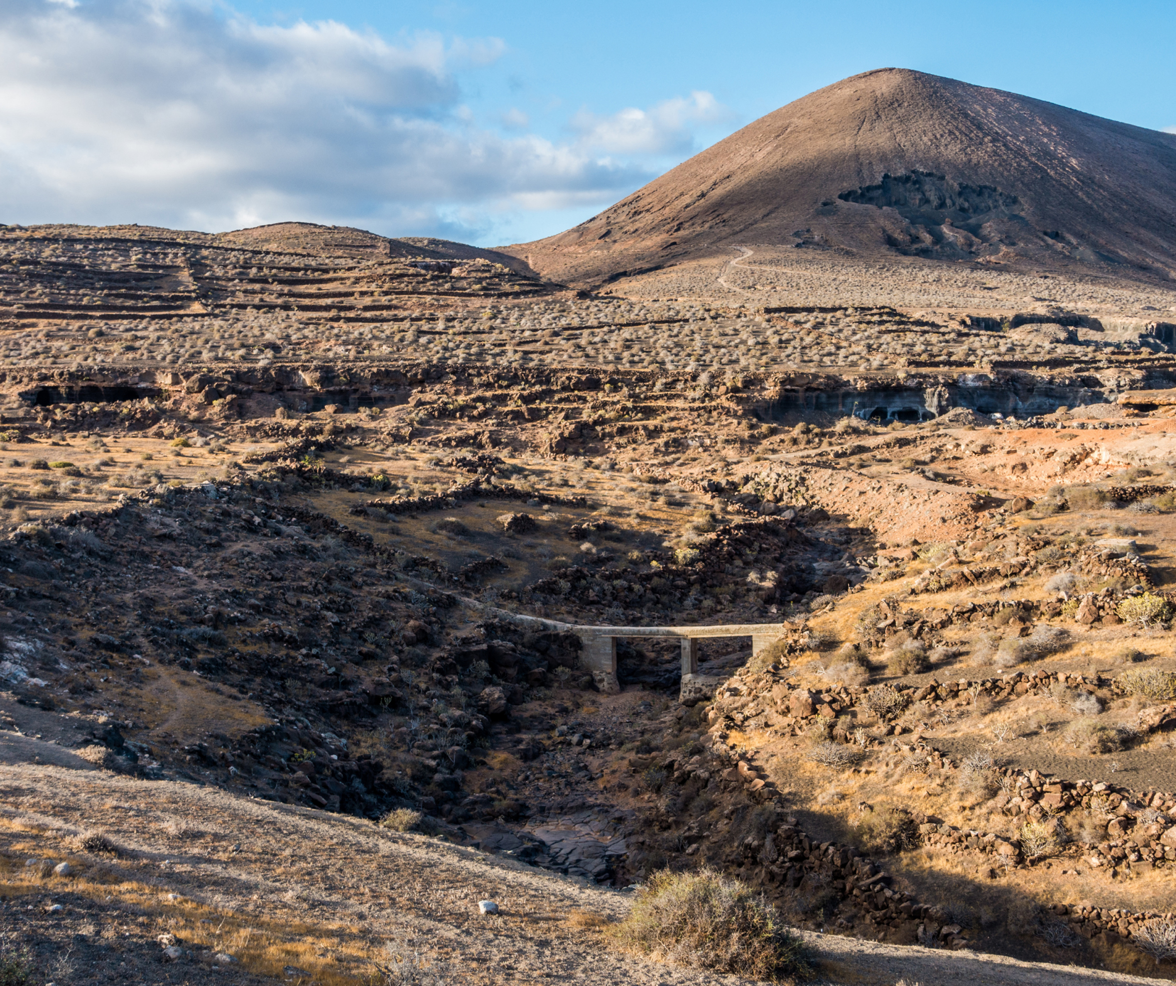 Problemas de lindes con vecinos Problemas de lindes con vecinos