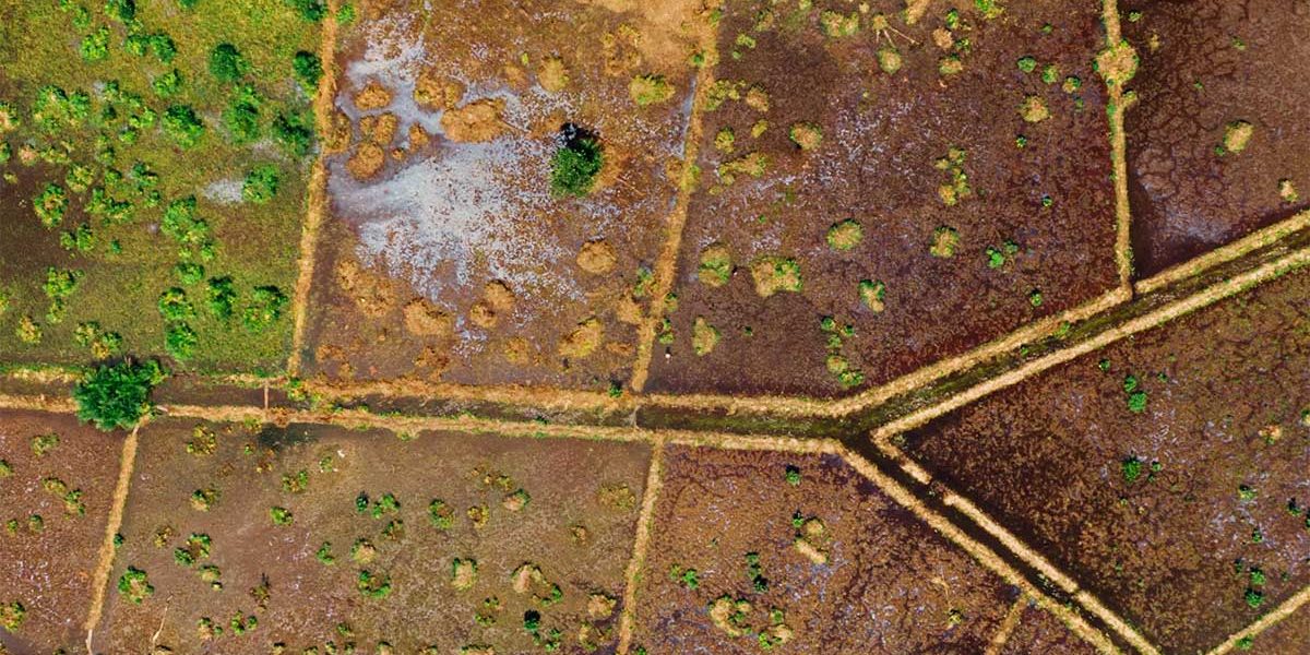 accion-reivindicatoria Acción reivindicatoria