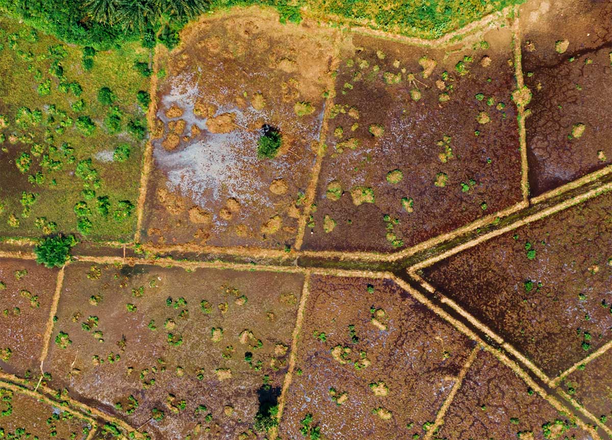 accion-reivindicatoria Acción reivindicatoria