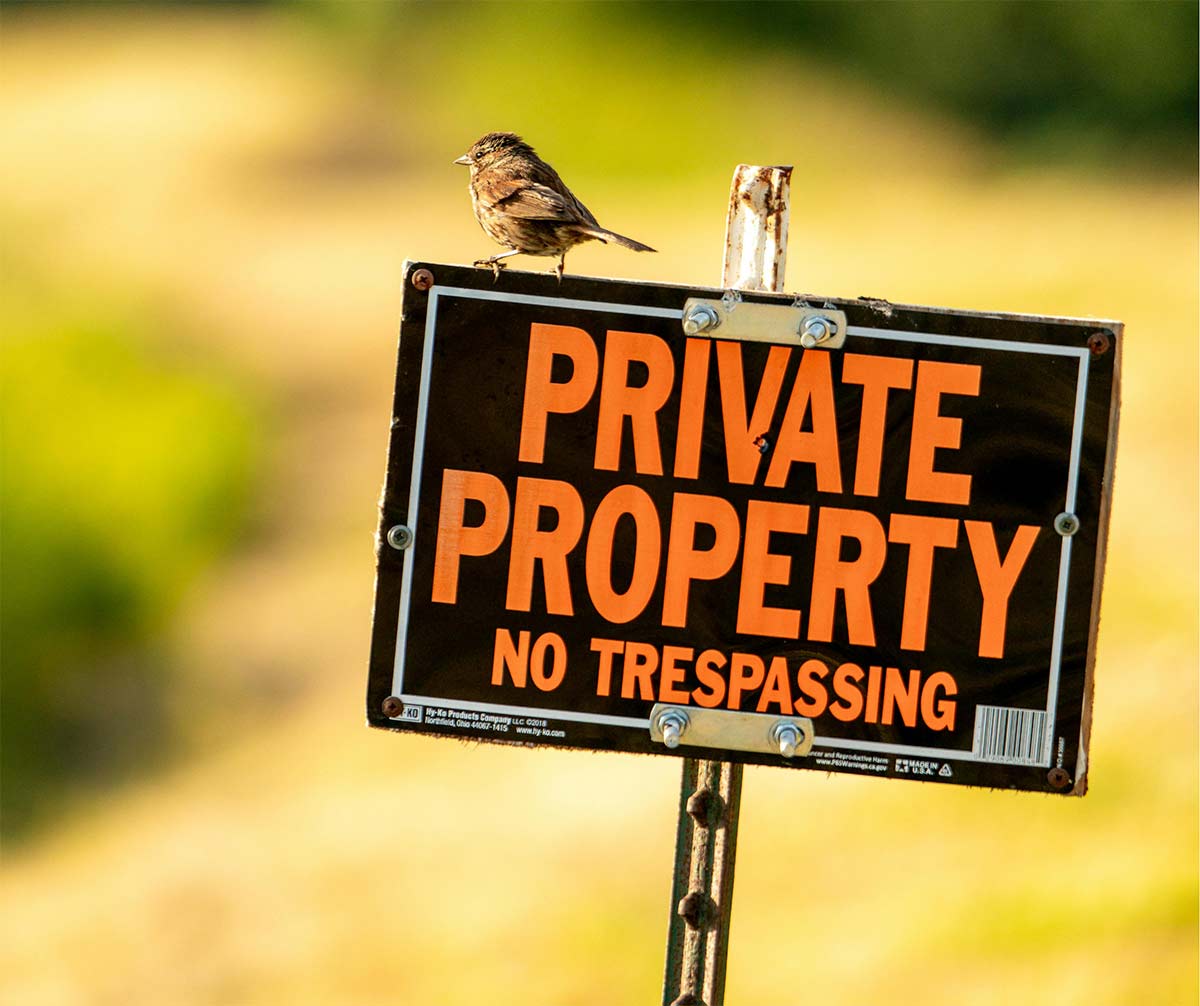 accion-declarativa-de-dominio Acción declarativa de dominio